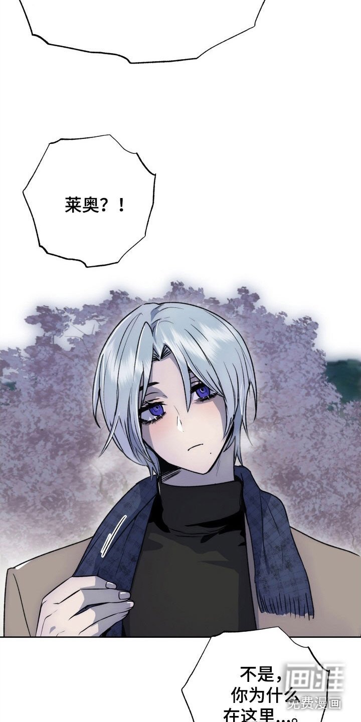 第40章：致命缺陷