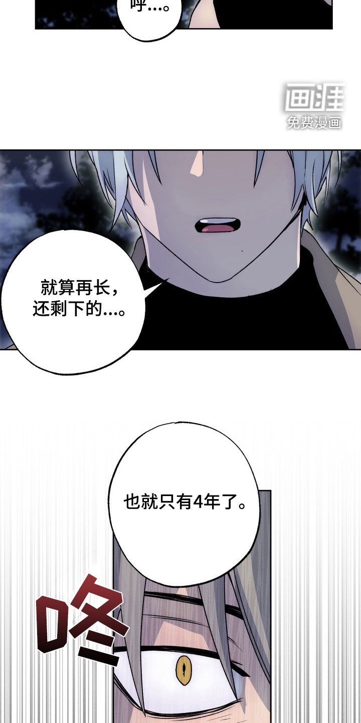 第41章：4年