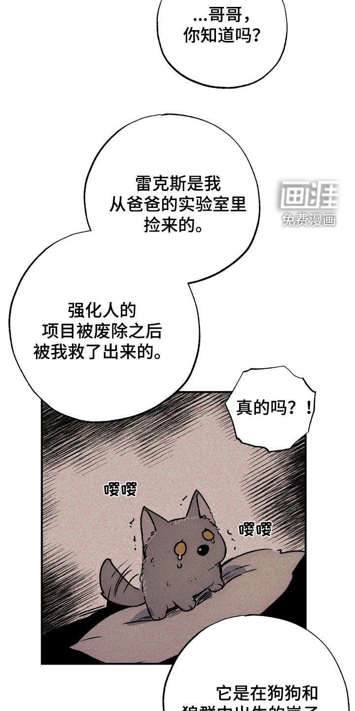 第41章：4年