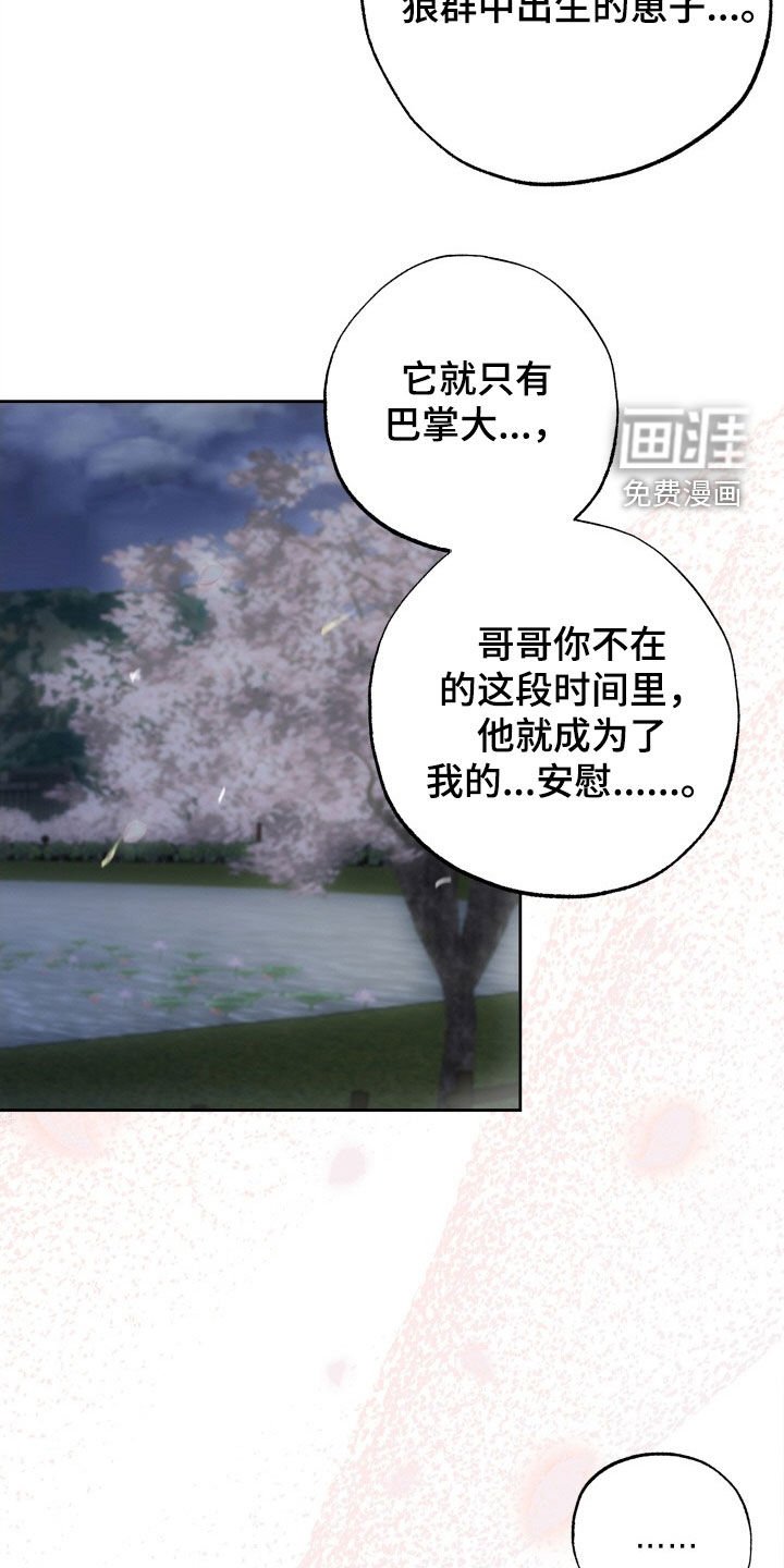 第41章：4年