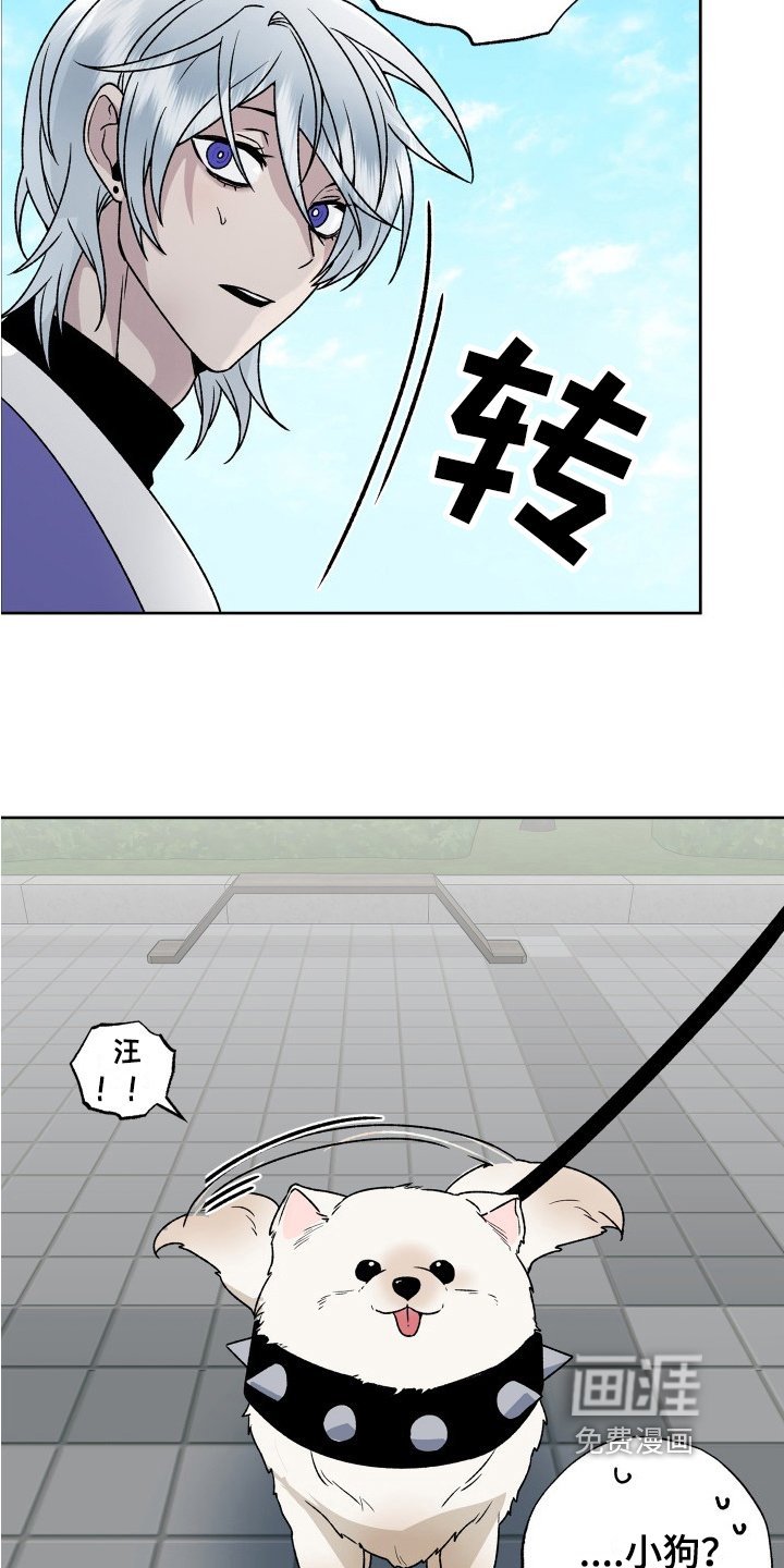 第7章：锻炼