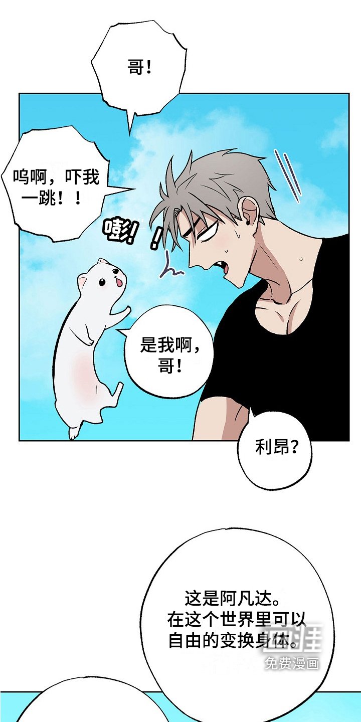 第8章：助手