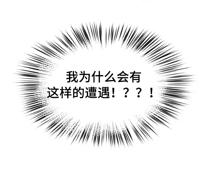 第11章：趁火打劫