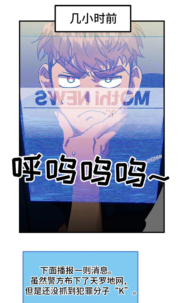 第17章：理想型