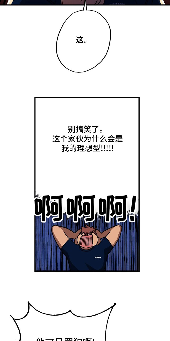 第17章：理想型