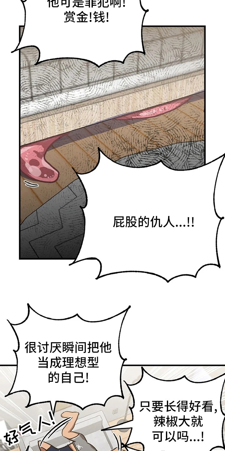 第17章：理想型