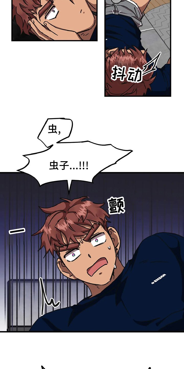 第17章：理想型