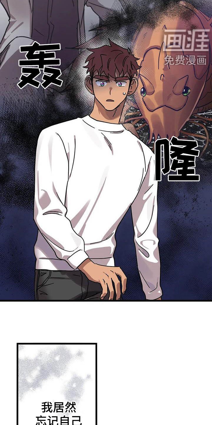 第29章：多多关照