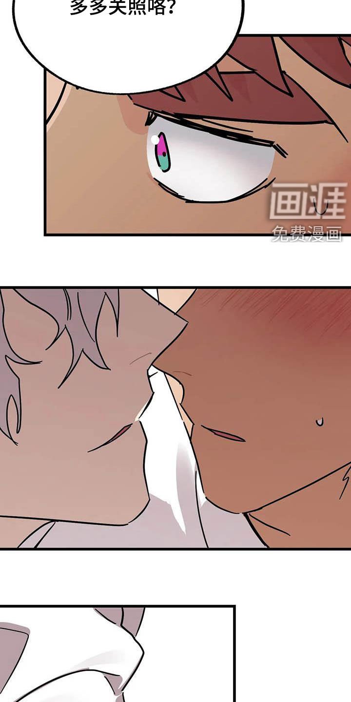 第29章：多多关照