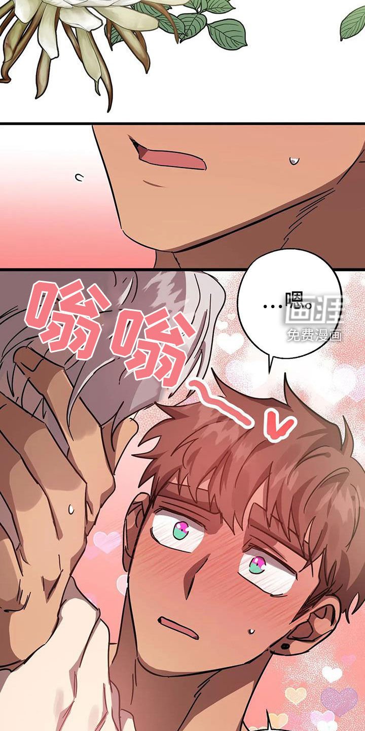 第31章：伪装