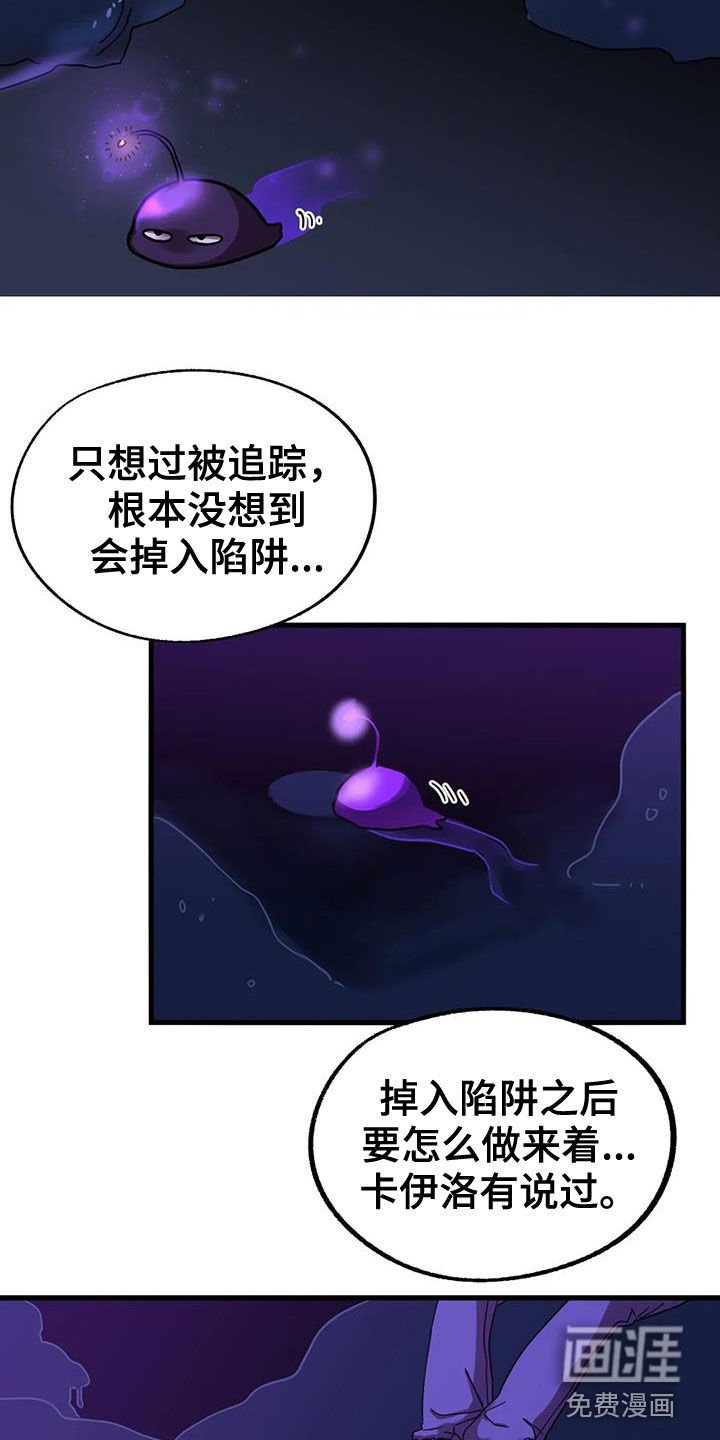 第33章：陷阱