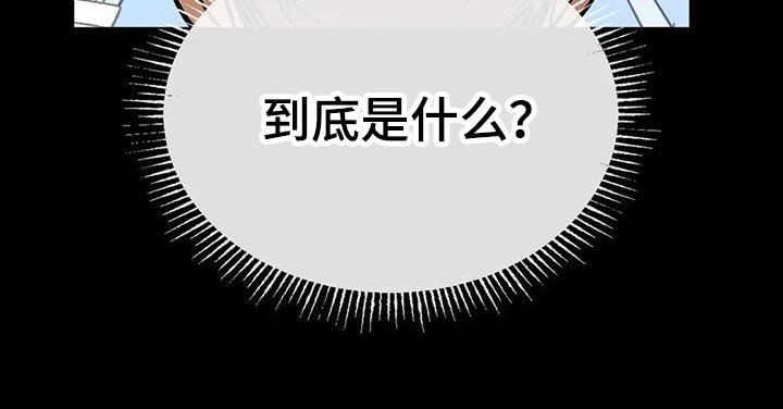 第48章：【番外】一级机密