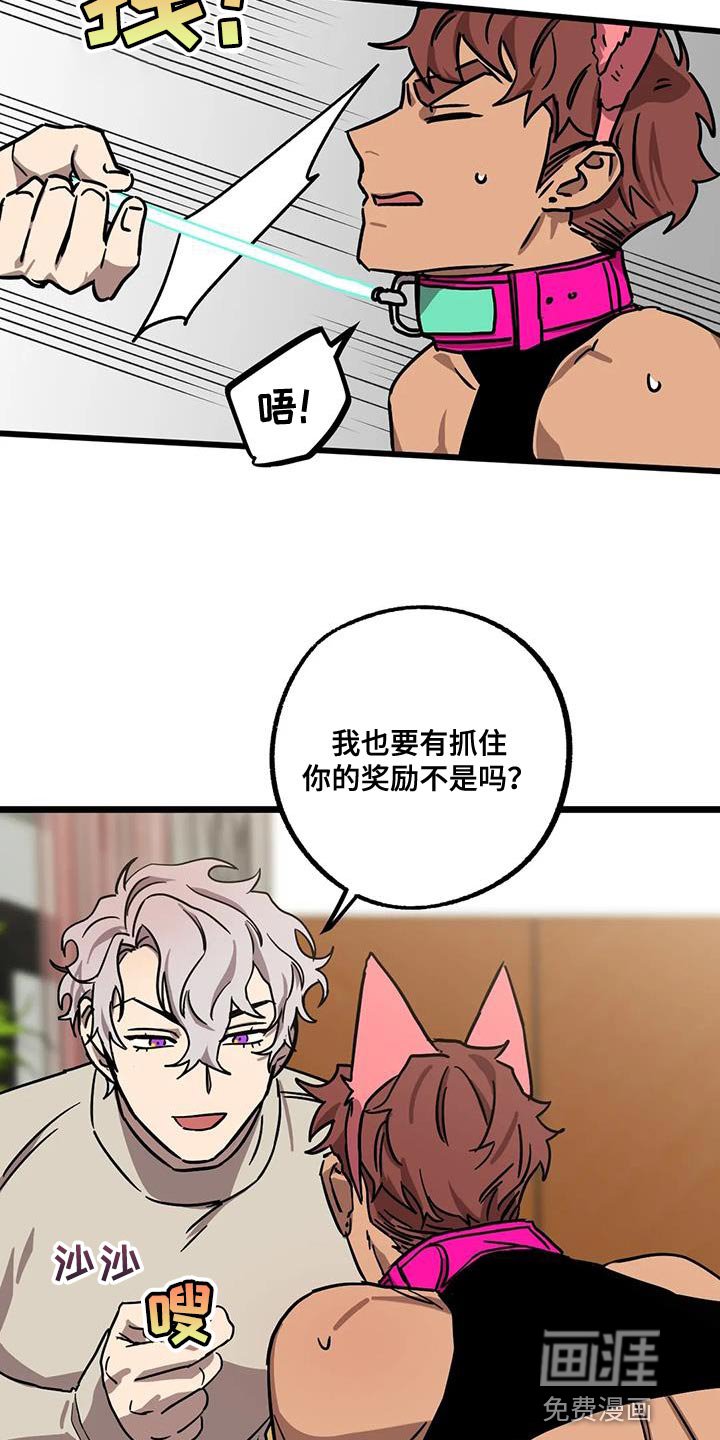 第54章：【番外】奖励