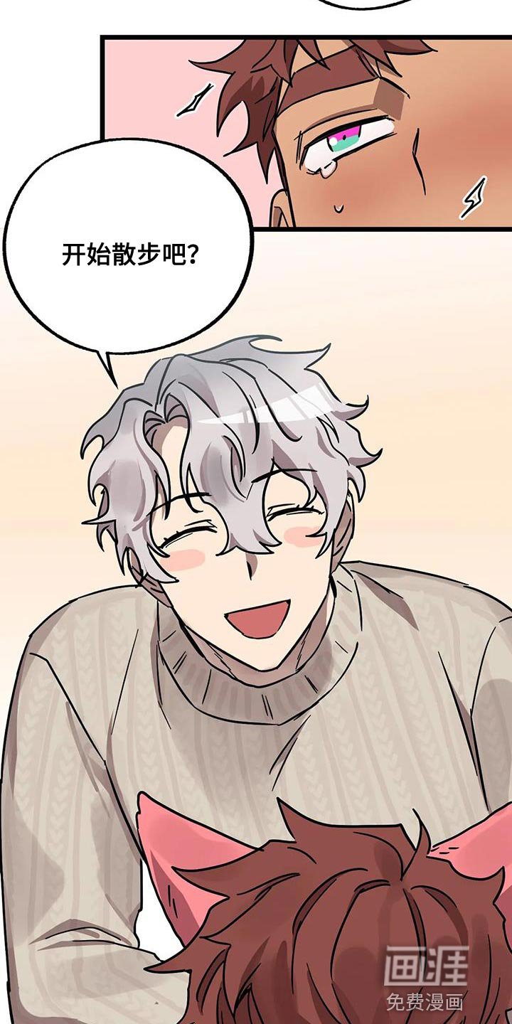 第55章：【番外】散步