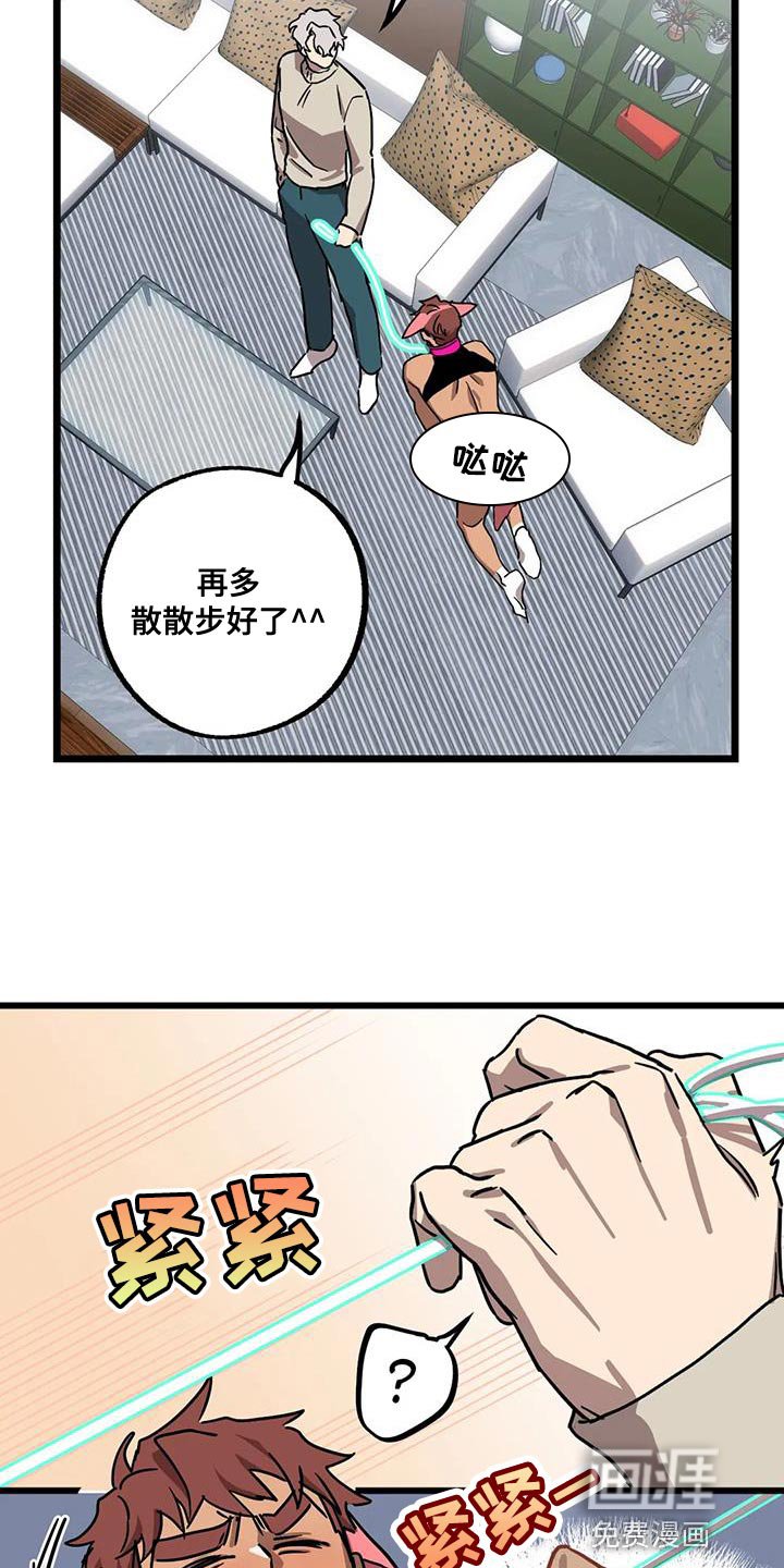 第55章：【番外】散步