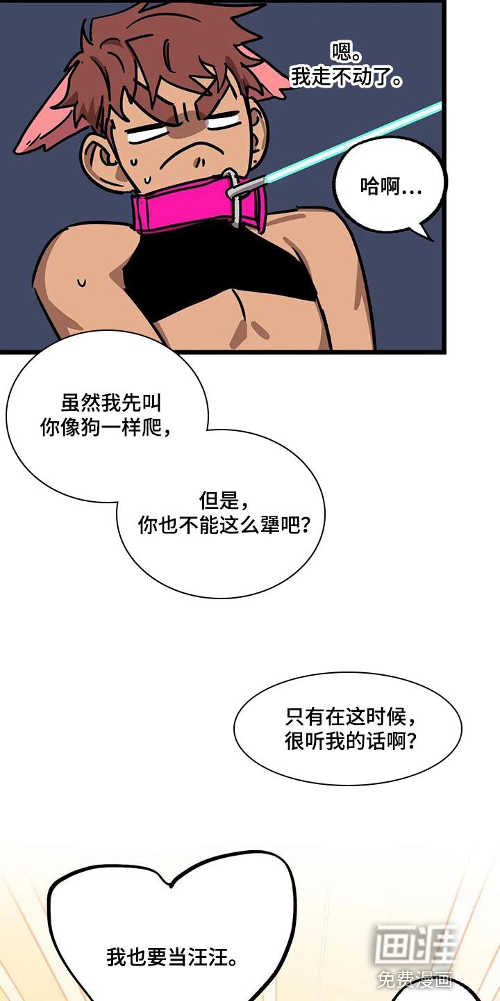 第55章：【番外】散步