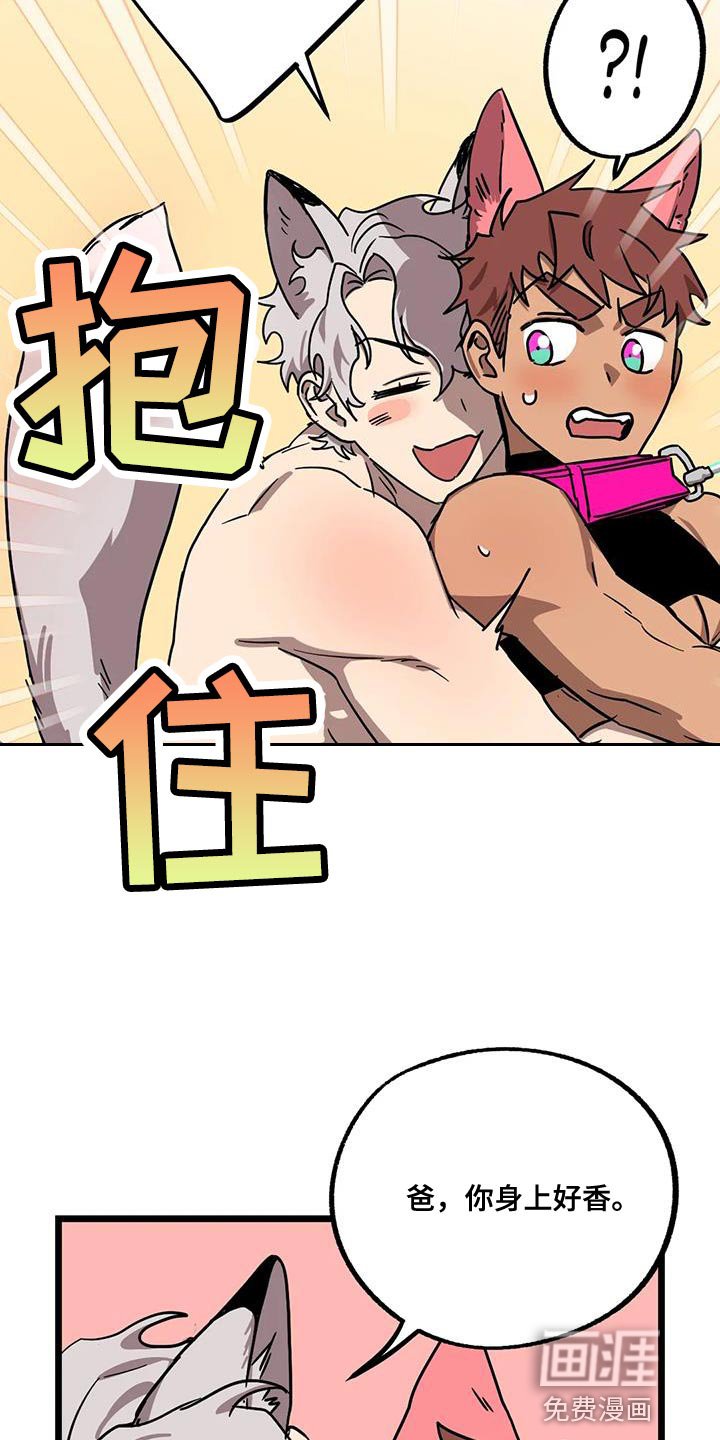 第55章：【番外】散步