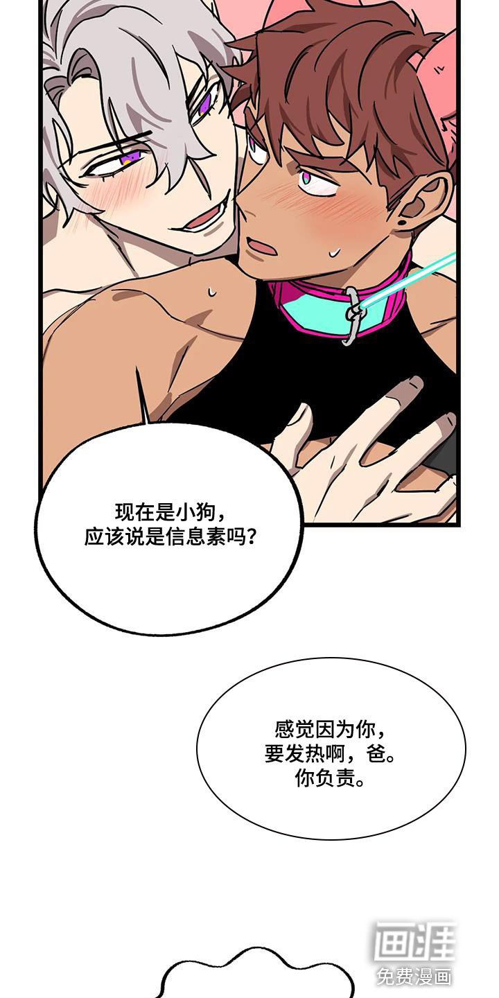 第55章：【番外】散步