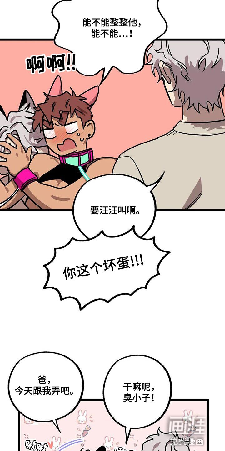 第55章：【番外】散步