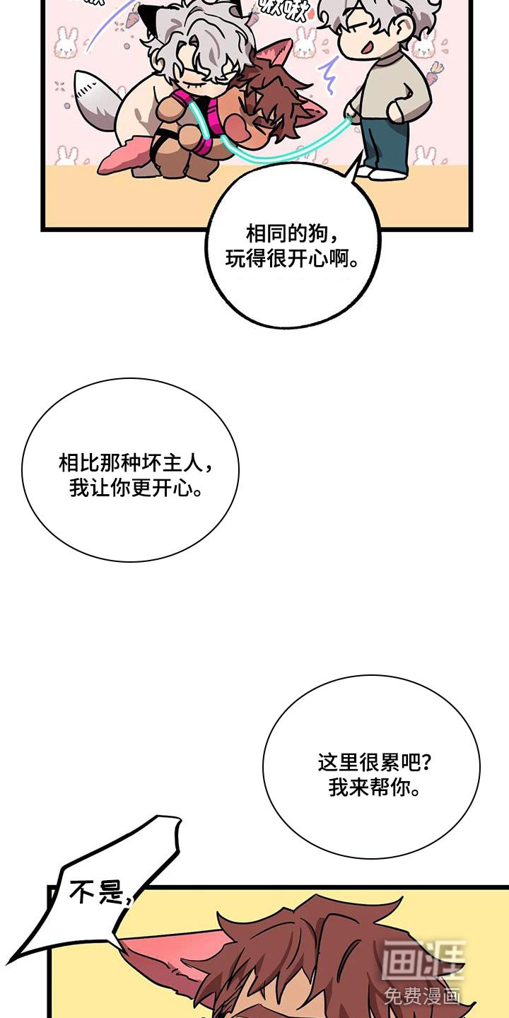 第55章：【番外】散步