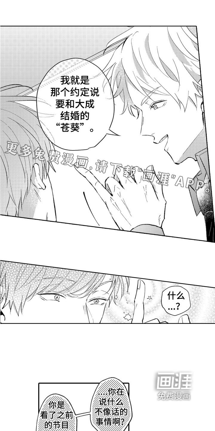 第9章：不奇怪