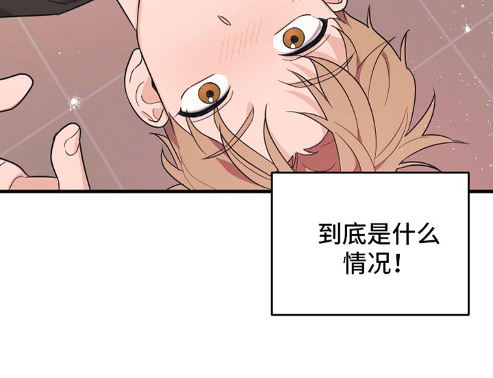 第1章：理想型