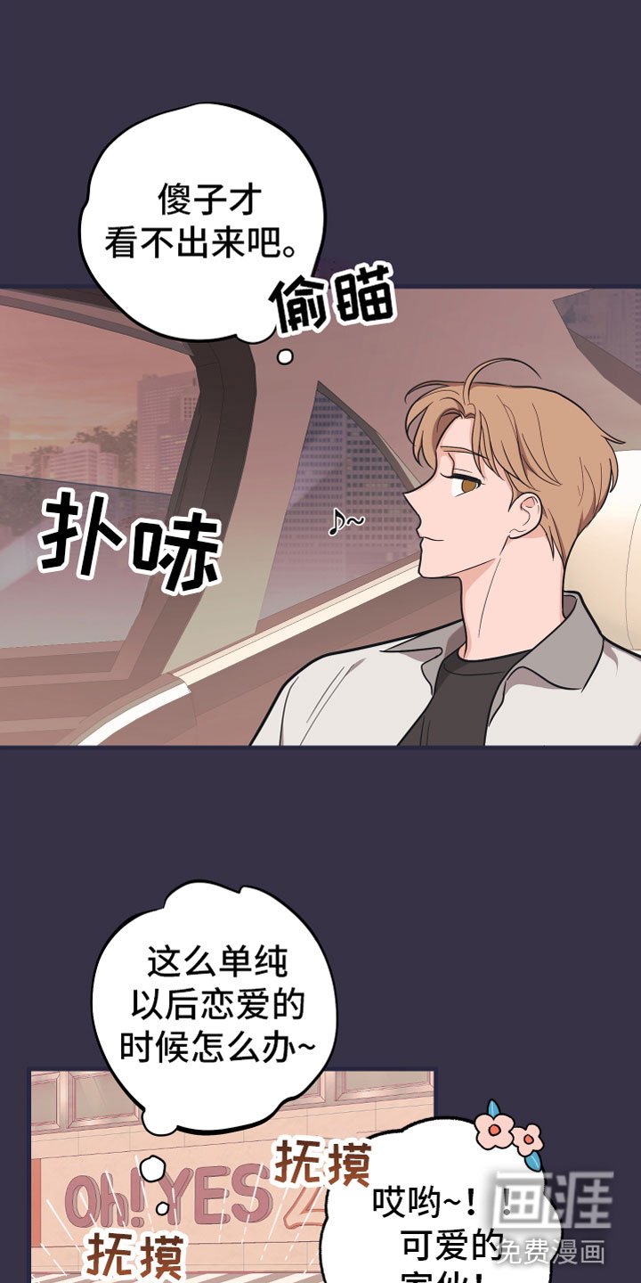第17章：理想型