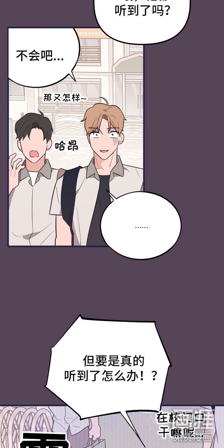 第17章：理想型