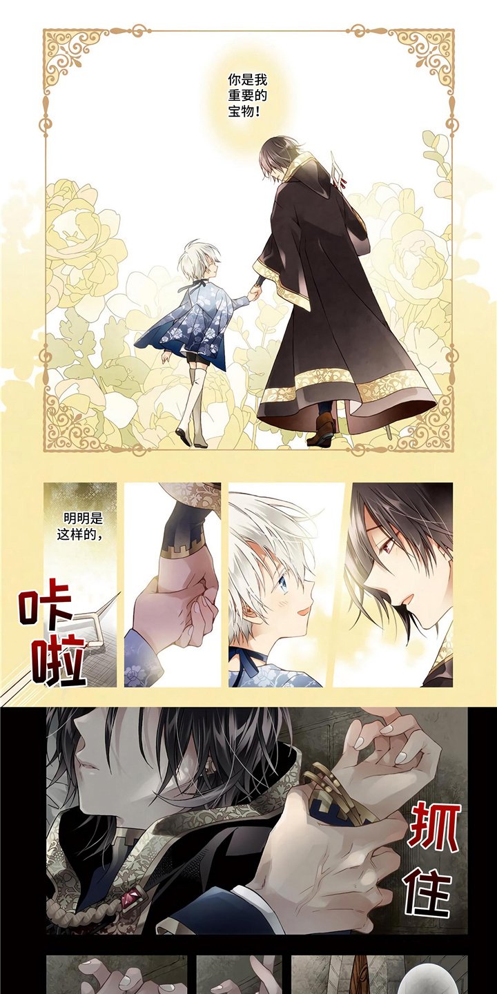 第1章：宫廷魔法师