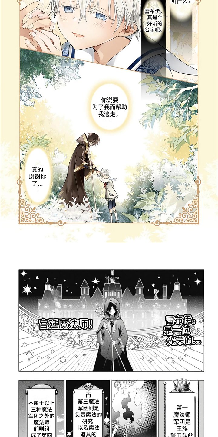第1章：宫廷魔法师