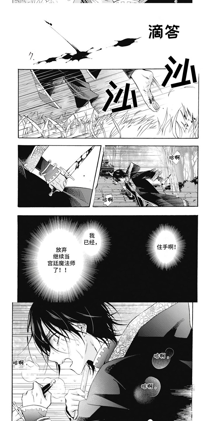第1章：宫廷魔法师