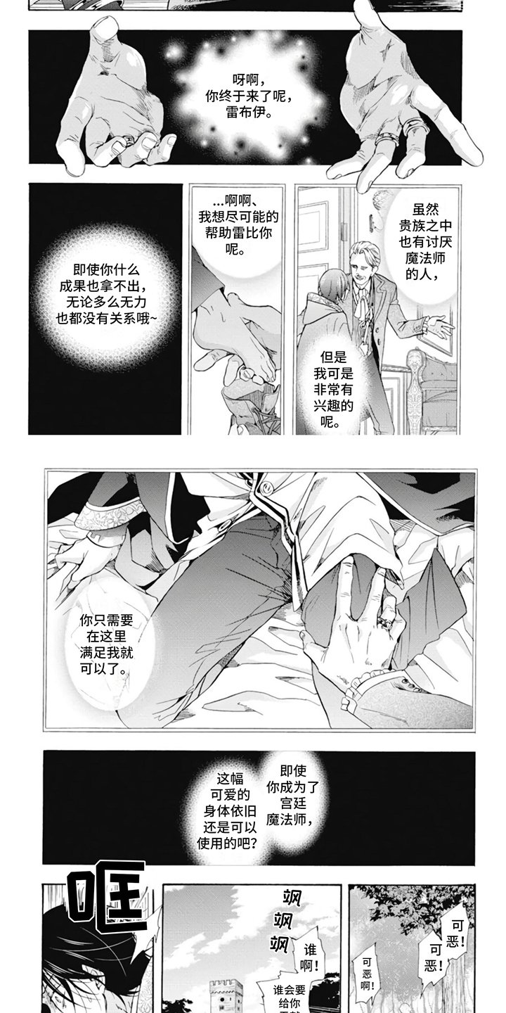第1章：宫廷魔法师