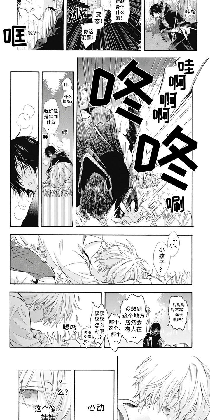 第1章：宫廷魔法师