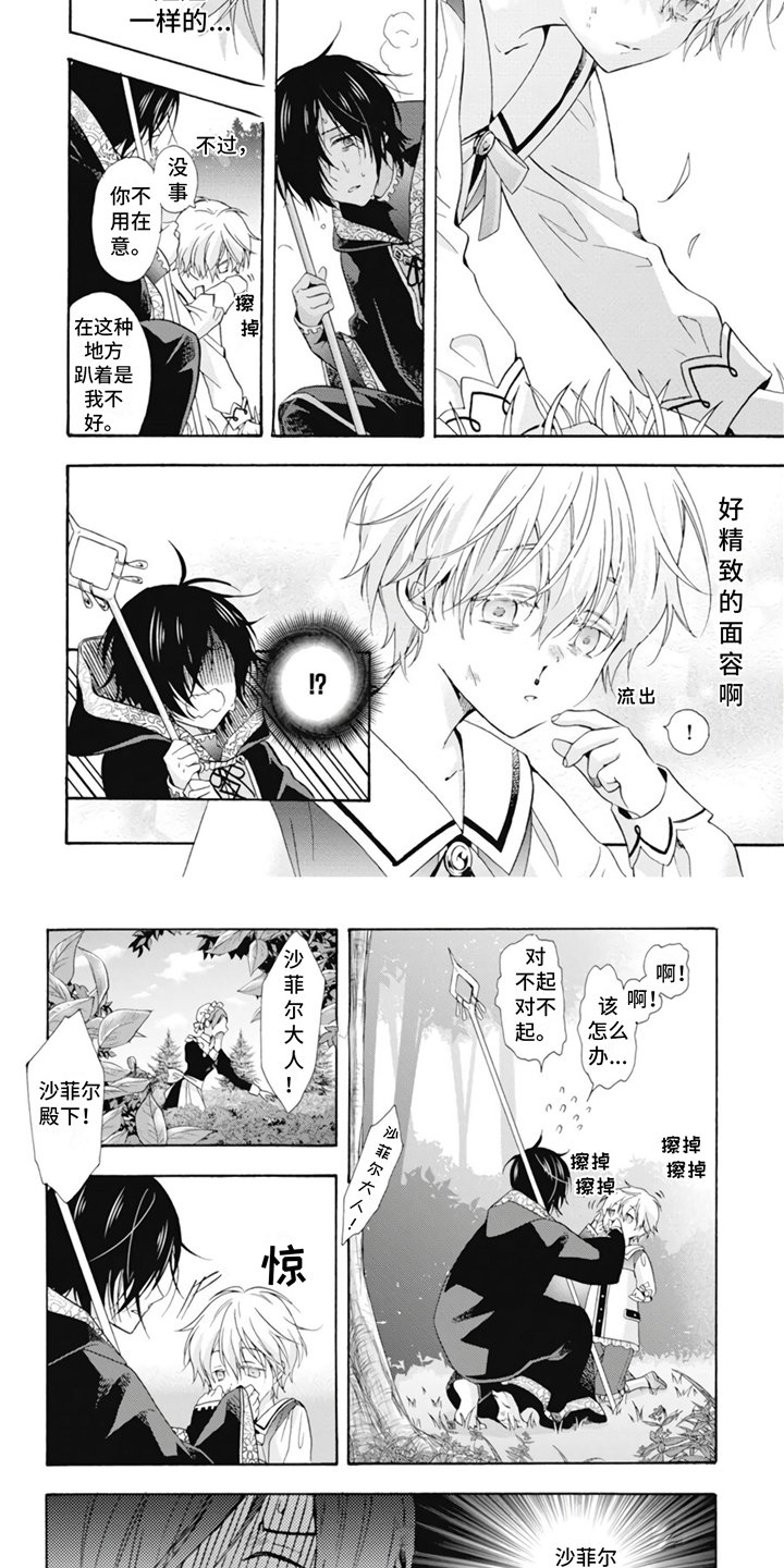 第1章：宫廷魔法师