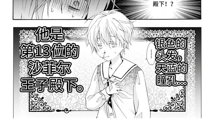 第1章：宫廷魔法师