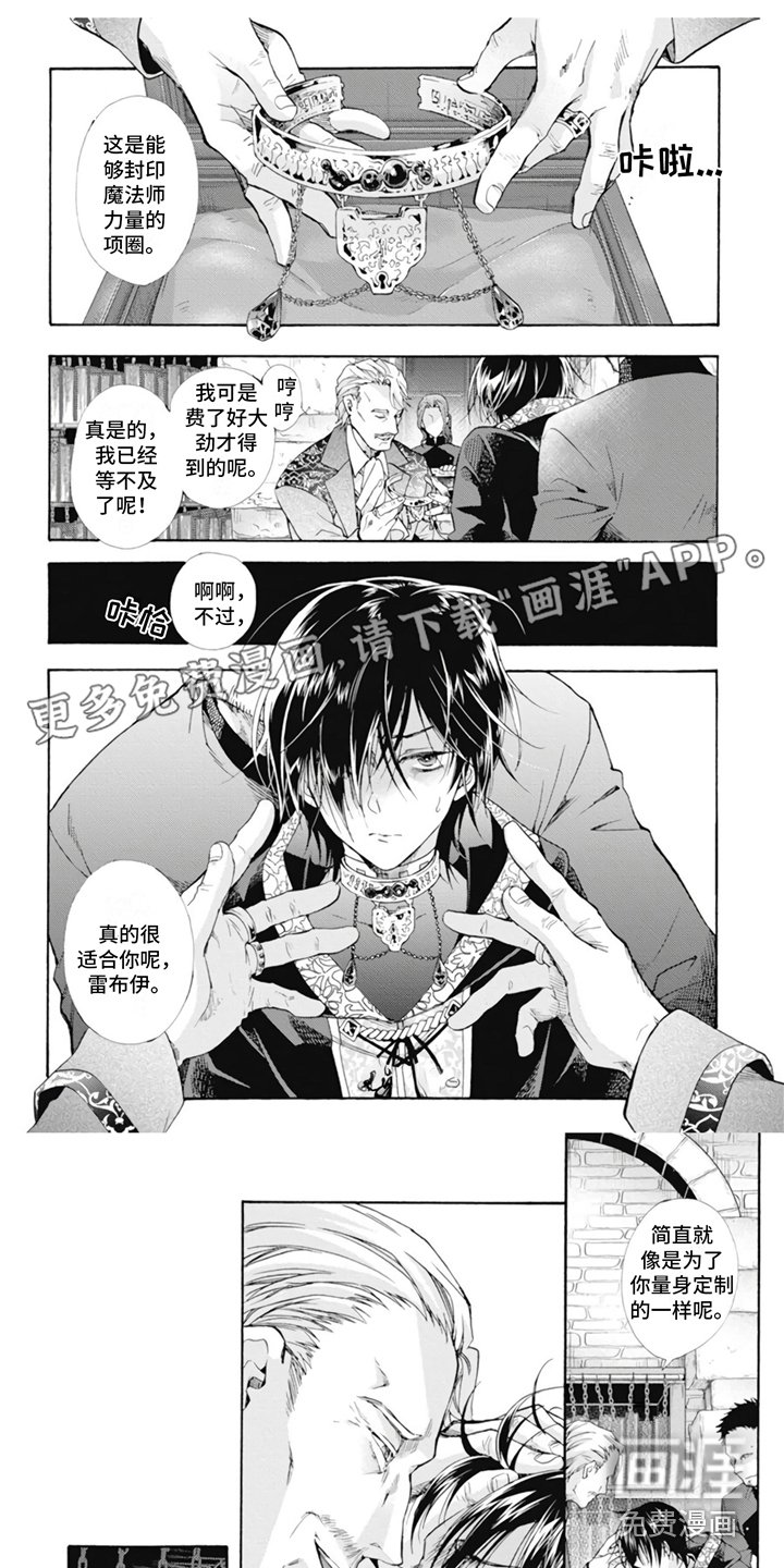 第11章：收藏品