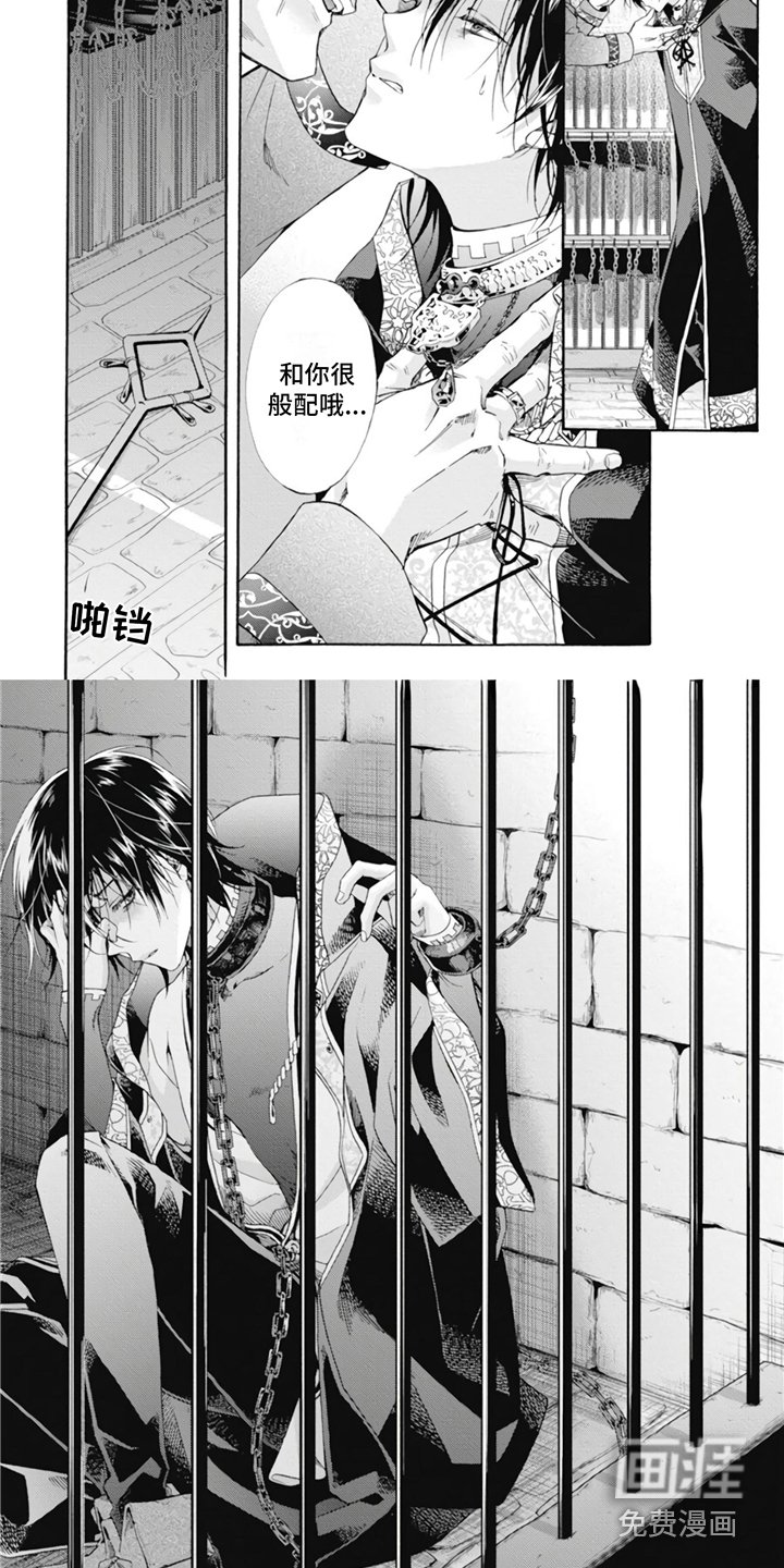 第11章：收藏品
