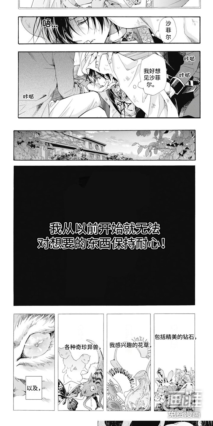 第11章：收藏品