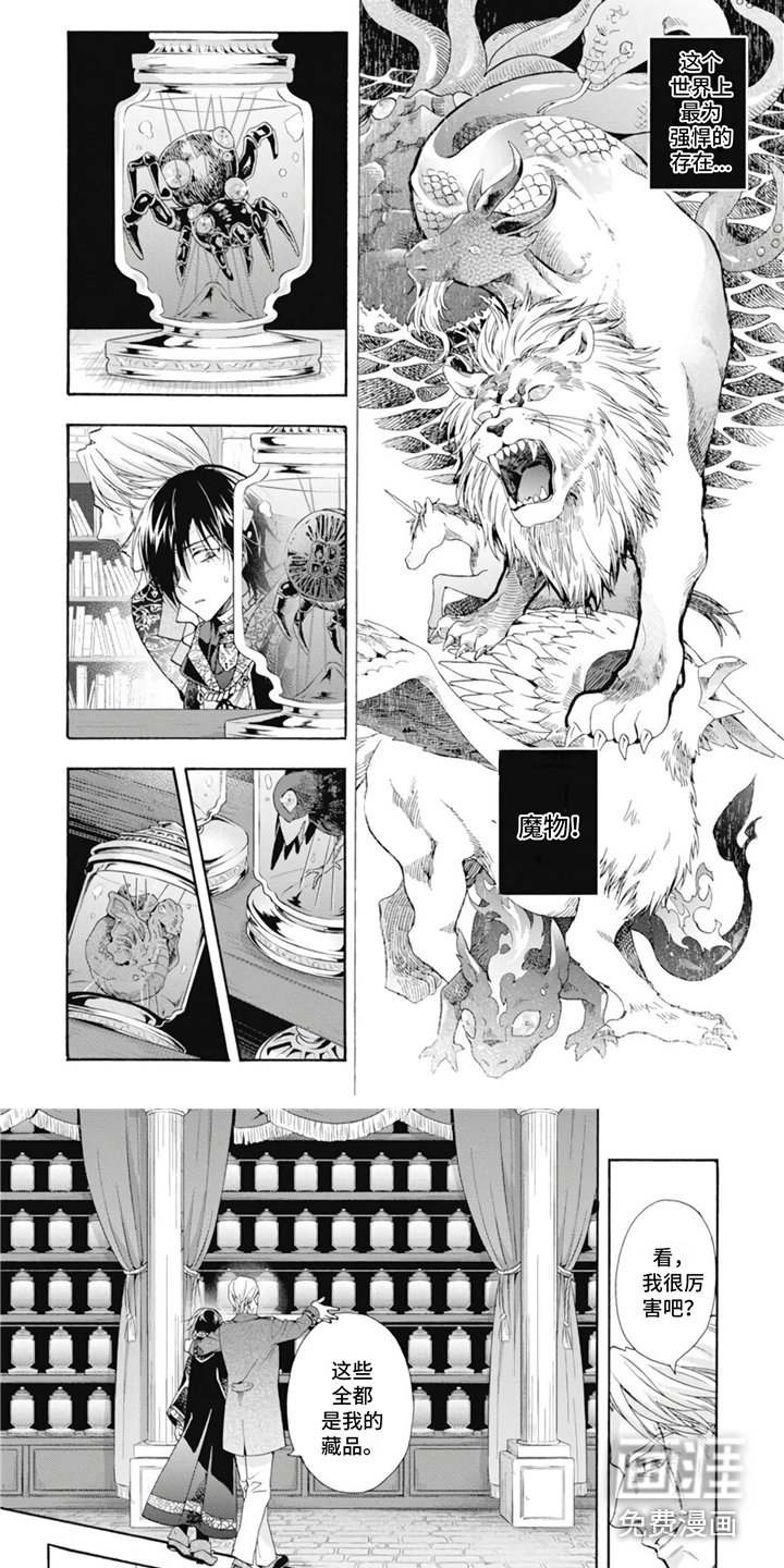 第11章：收藏品
