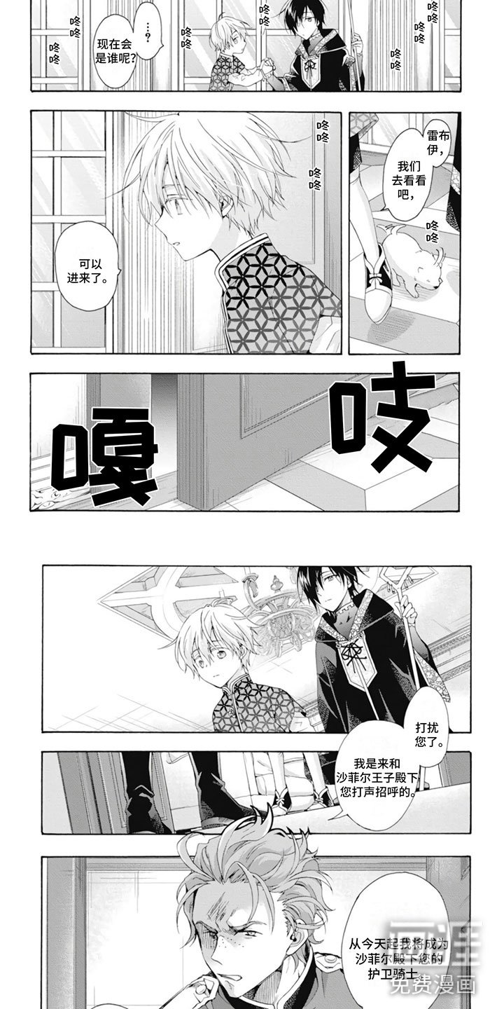 第18章：大宝贝