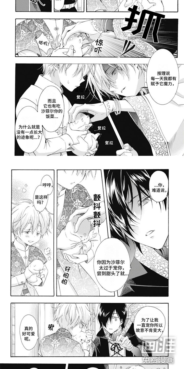 第20章：傲慢公主