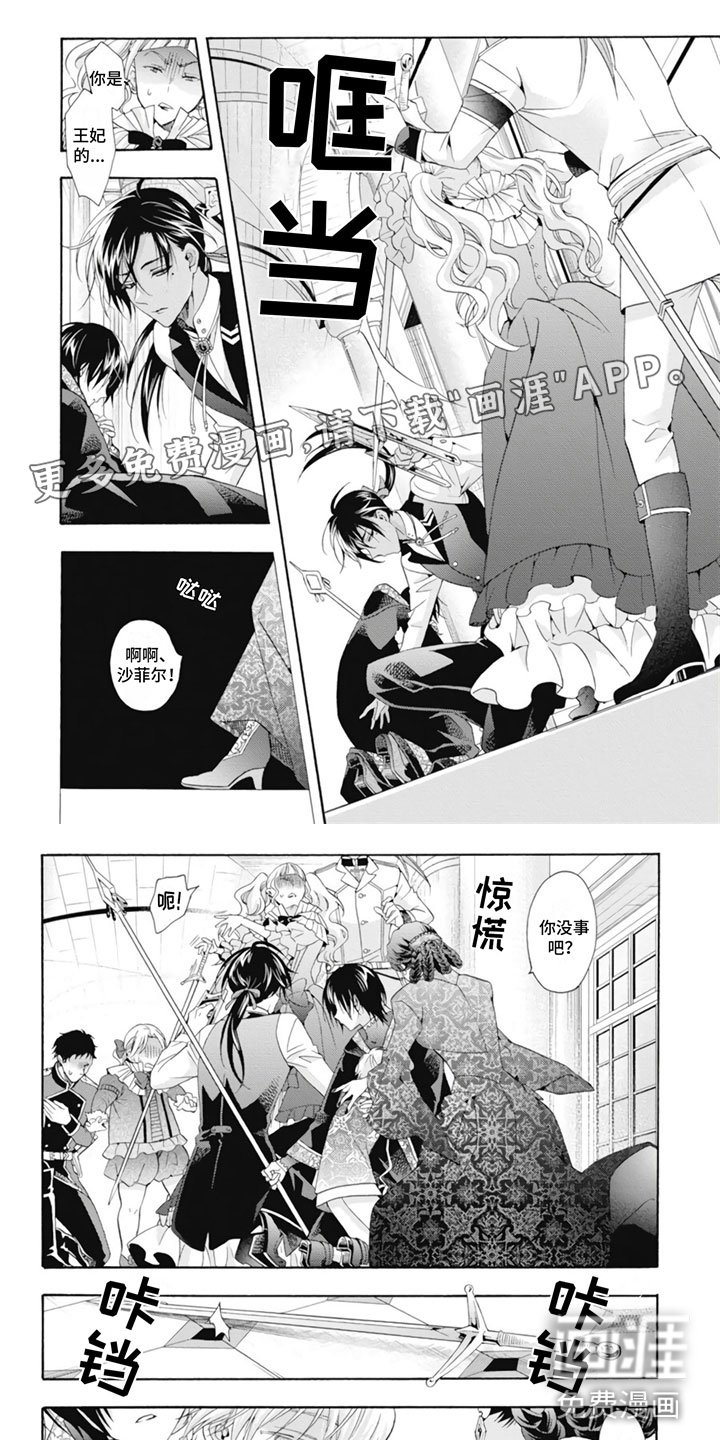 第21章：王妃