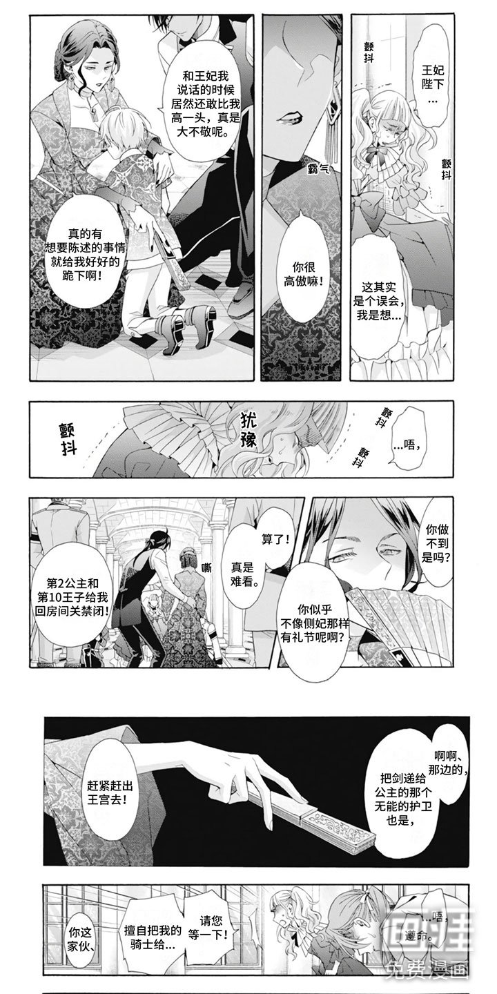 第21章：王妃