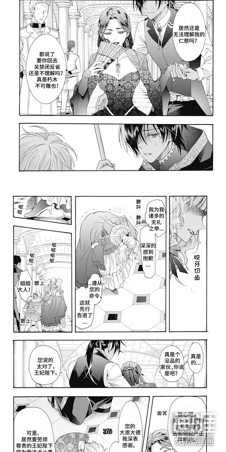 第21章：王妃