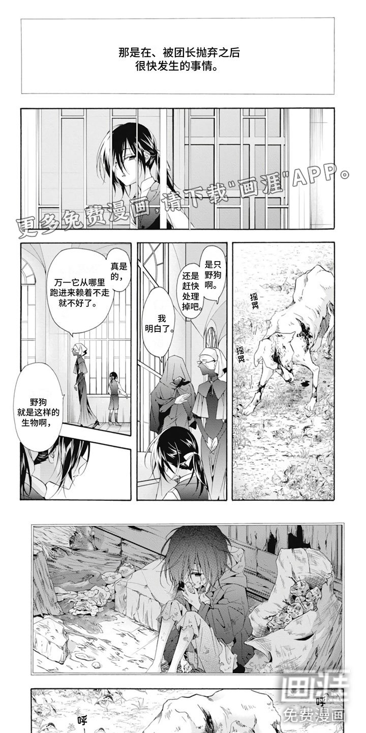 第25章：野狗