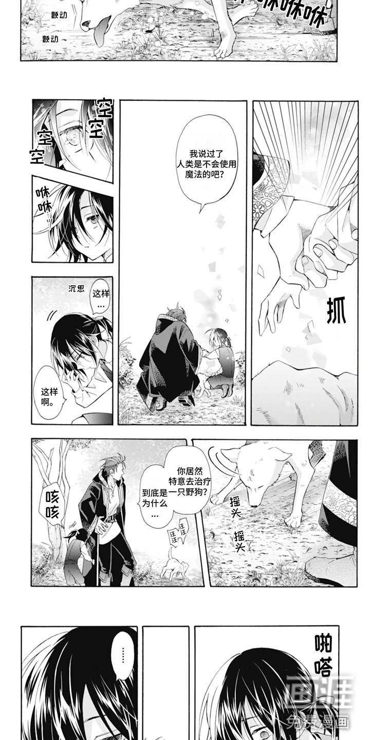 第25章：野狗