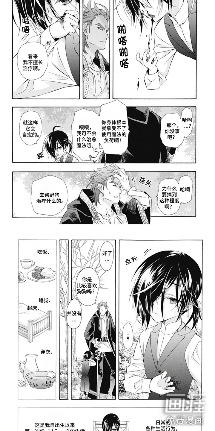 第25章：野狗