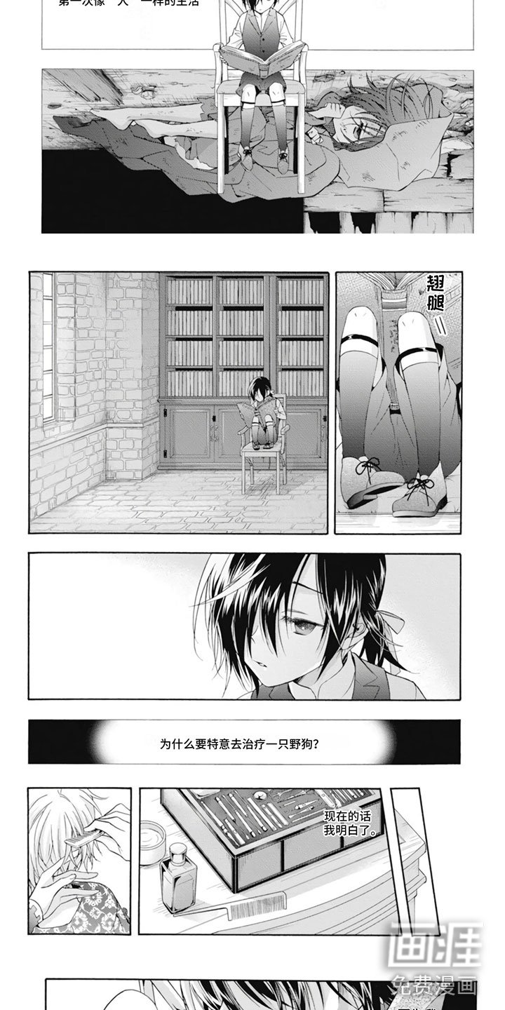 第25章：野狗