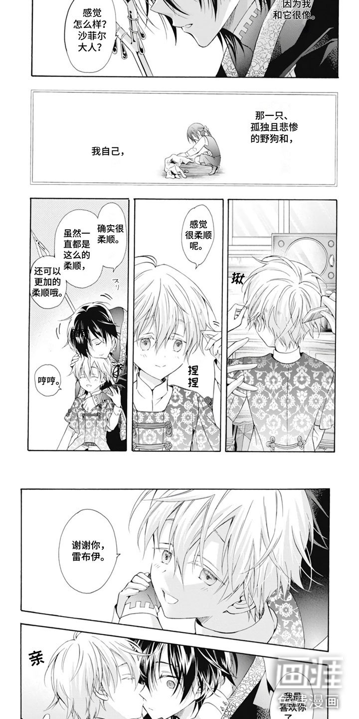 第25章：野狗