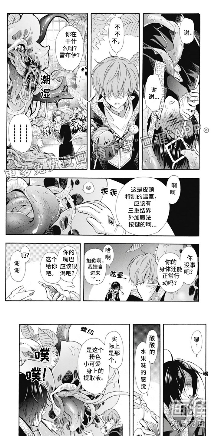 第6章：很耀眼